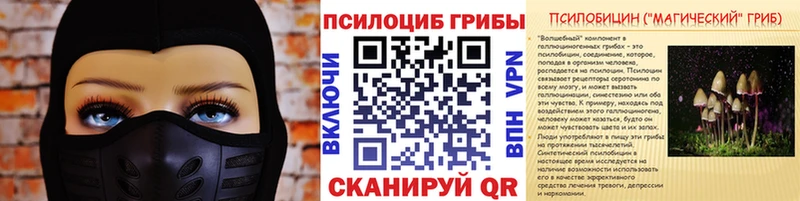 Галлюциногенные грибы Cubensis  Весьегонск 